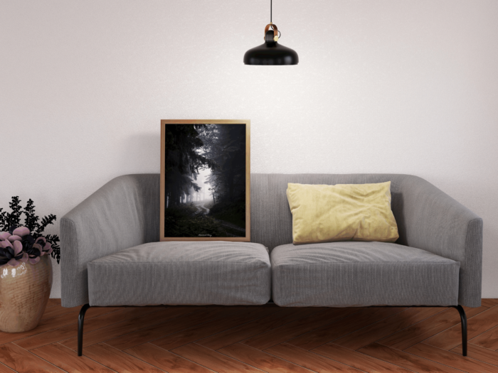 Chemin entre ombres et lumière – Image 2