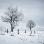 Deux silhouettes d'un autre Monde