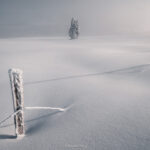 Lumière sur Solitaire