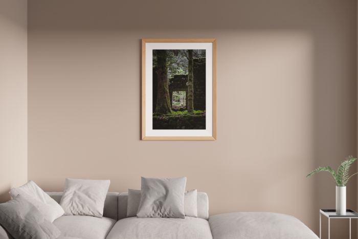 Vestige de Vie – Image 2