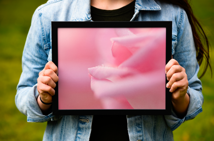 Perle de Rose – Image 4