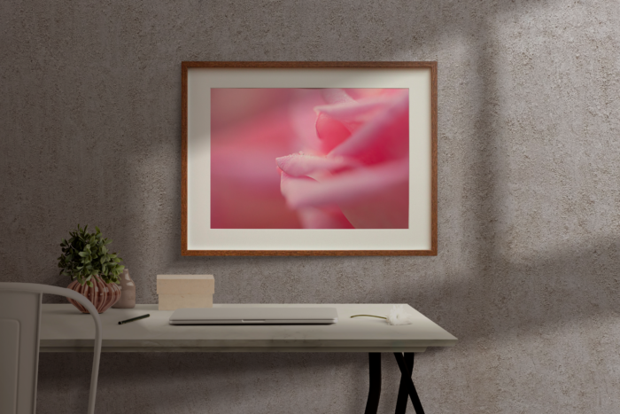 Perle de Rose – Image 3